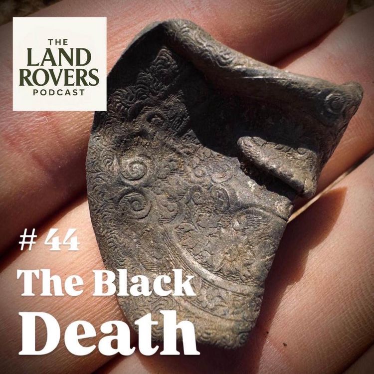 cover art for The Black Death