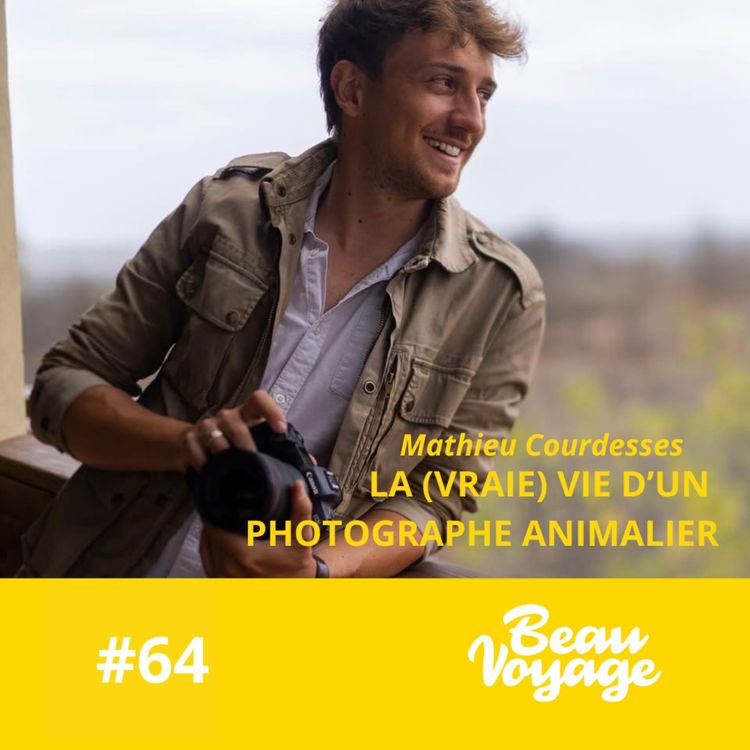 cover art for [Nos favoris ❤️ ]- Mathieu Courdesses, photographe animalier : l'amour des gorilles, ses plus grandes frayeurs et son rôle d'ambassadeur du monde sauvage
