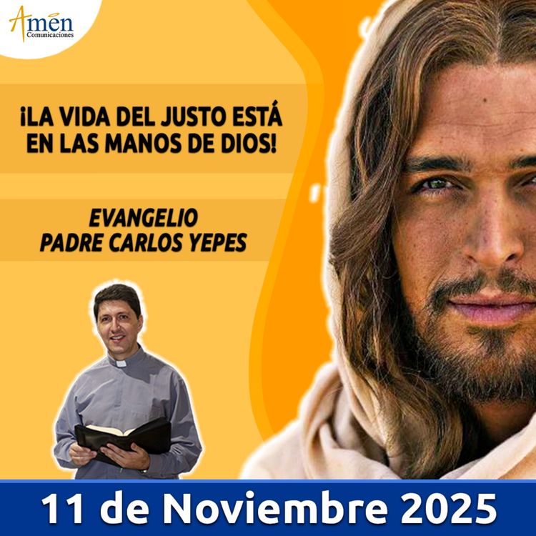 cover art for Evangelio De Hoy - 11 Noviembre 2025 - Padre Carlos Yepes