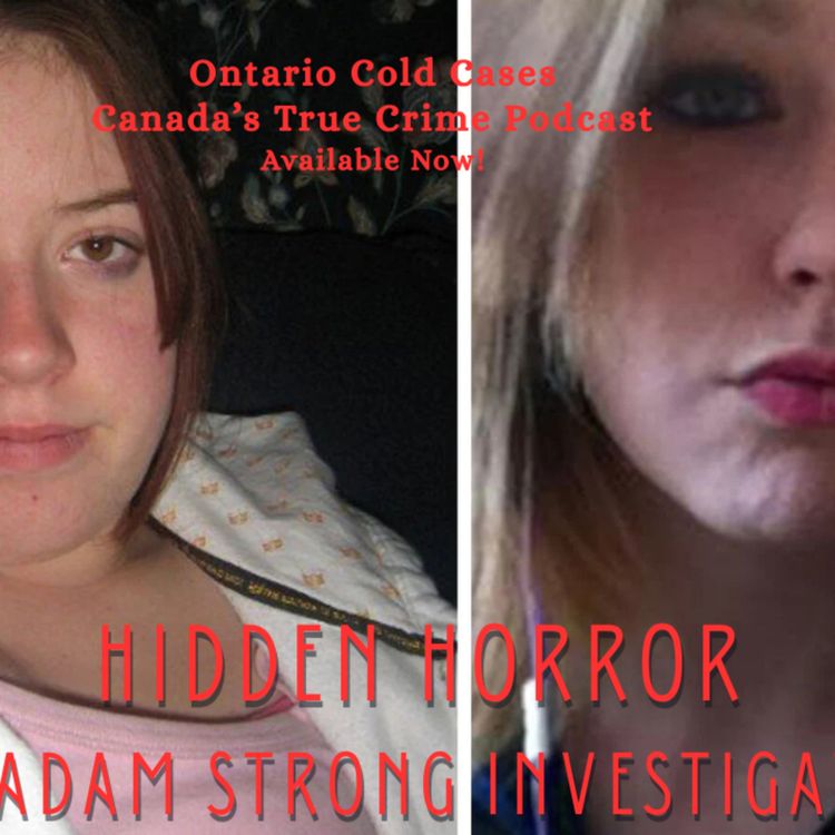 cover art for Hidden Horror: The Adam Strong Investigation