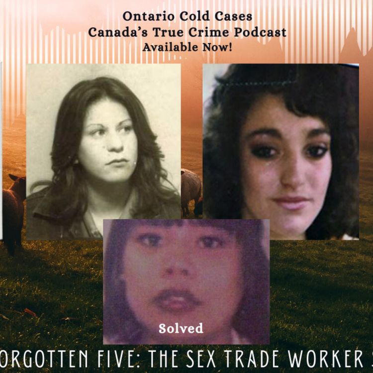 cover art for A Chilling Look at the Lyle Ford Case 