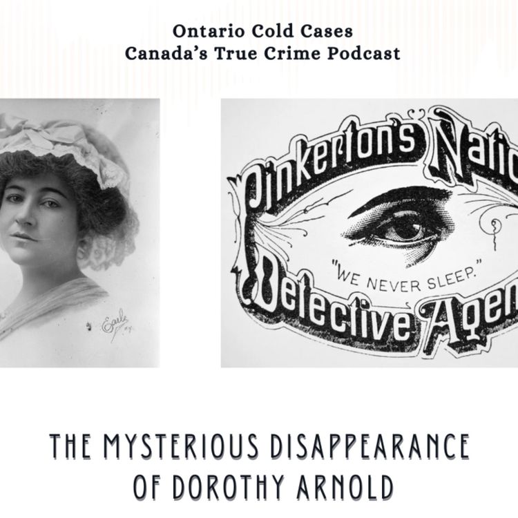 cover art for The Mysterious Disappearance of Dorothy Arnold