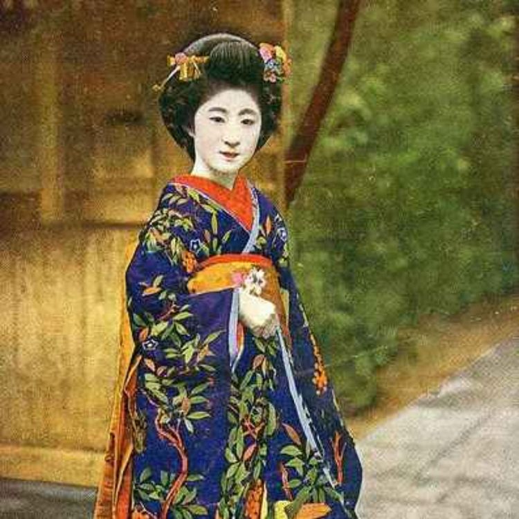 cover art for فصل چهارده رژه ی خاموش