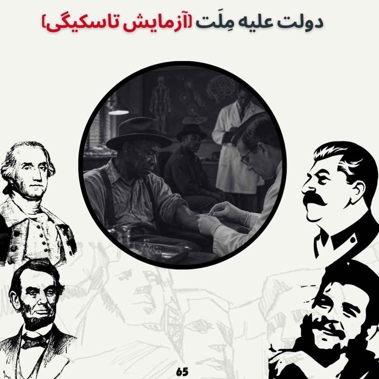 cover art for دولت علیه ملت (آزمایش تاسکیگی)