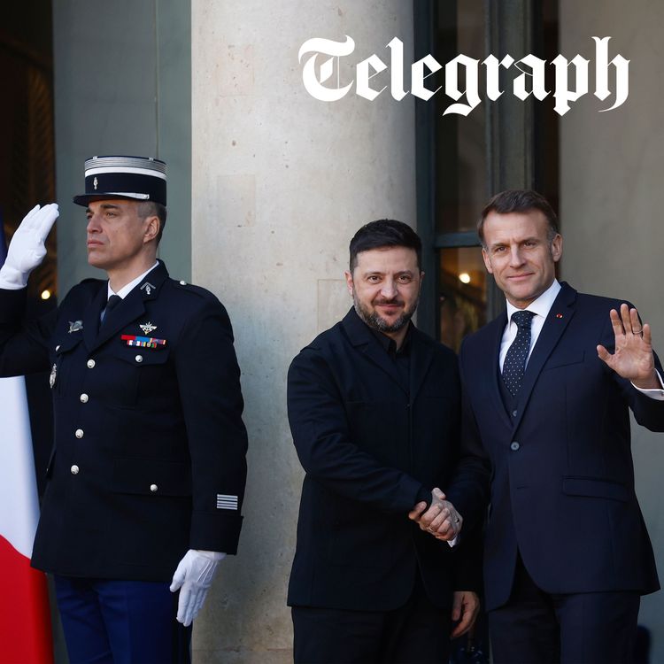 cover art for Зеленський прагне “зобов’язуючих гарантій” від Коаліції на першому мирному саміті 2026 року 