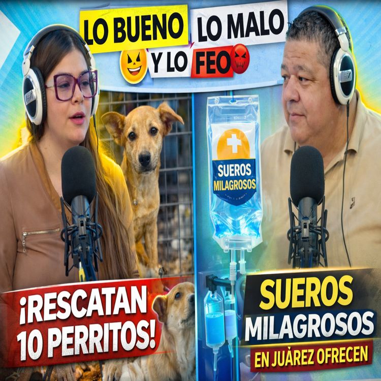 cover art for SALVAN A 10 CANINOS EN OPERATIVO CONTRA MALTRATO ANIMAL - LO BUENO LO MALO Y LO FEO