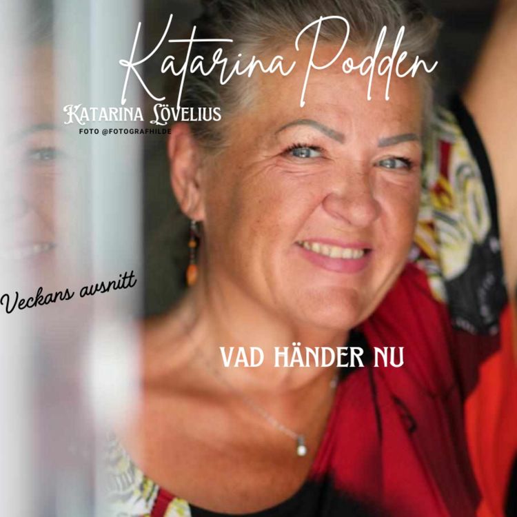 cover art for 232 Vad händer nu