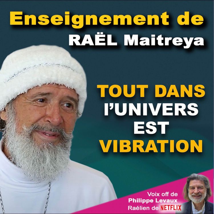 cover art for RAËL : TOUT DANS L'UNIVERS EST VIBRATION
