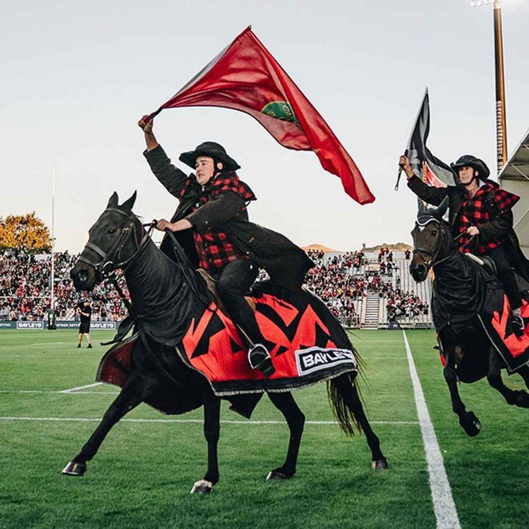 cover art for Quit Horsing Around