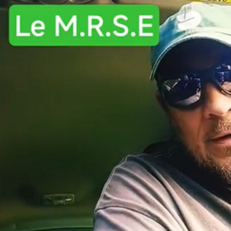 cover art for Le M.R.S.E (Maximum Roulette Session Extract)
