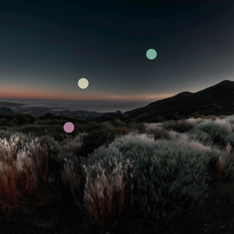 cover art for Cicadas in the Pacific Dusk | Night Ambience