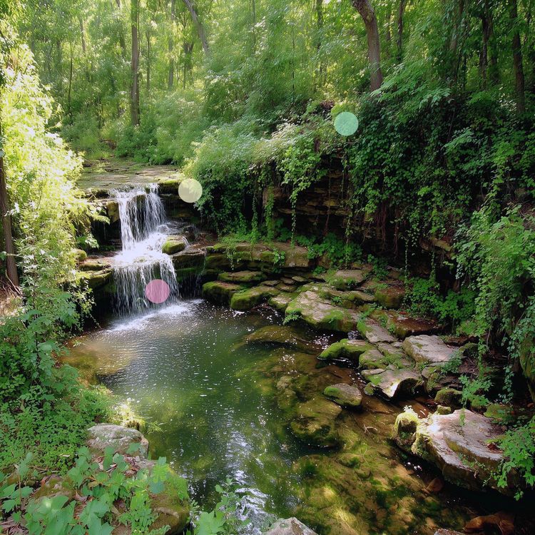 cover art for Secluded Waterfall | Forest Hollow