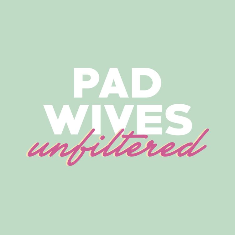 cover art for 8. Andy McNab - SAS to Hollywood. Life, Legacy and WeServed App.