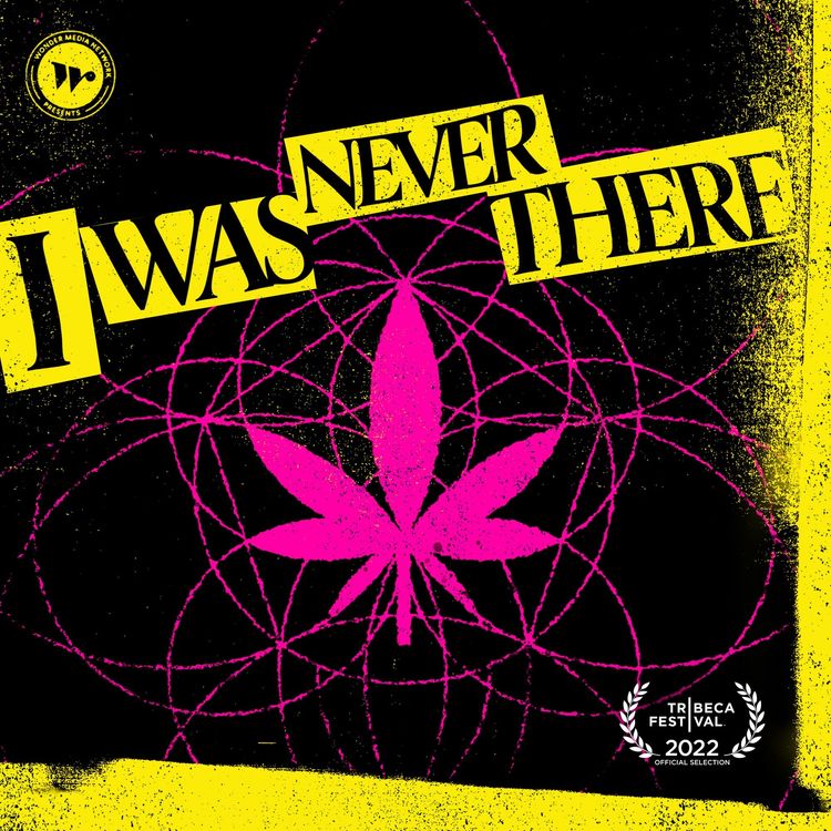 cover art for Introducing ... I Was Never There