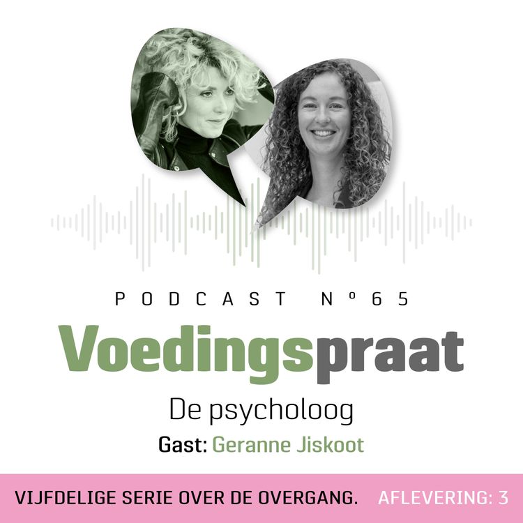 cover art for Serie over de overgang 3/5