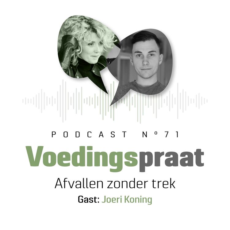cover art for Afvallen zonder trek