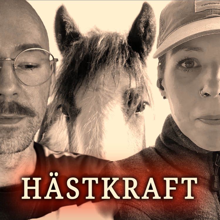 cover art for Presentation och vision