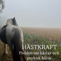 cover art for Hästkraft
