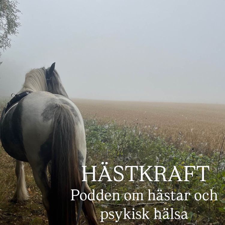 cover art for Hästkraft och lite om mycket
