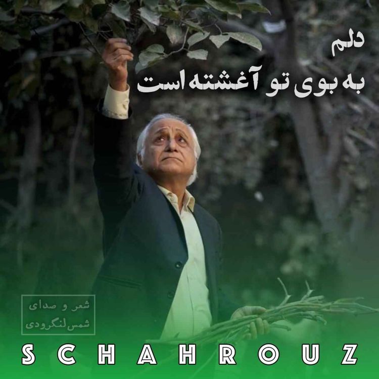 cover art for شمس لنگرودی | دلم به بوی تو آغشته است