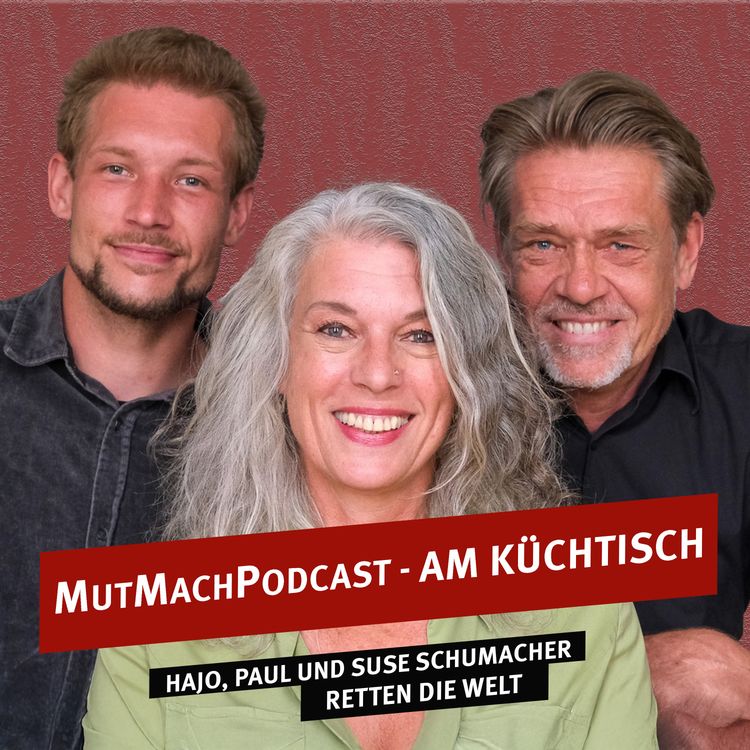 cover art for Herzwähler? Trickwähler? Zündelwähler? Was tun, wenn der Stift zuckt?