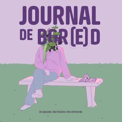 cover art for Journal de bor(e)d