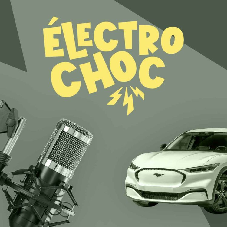 cover art for Voitures électriques : voici les modèles qui se sont totalement plantés en France en 2025