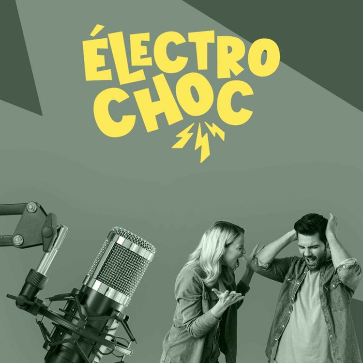 cover art for Pionniers vs débutants : et si l'un des freins à la voiture électrique n'était pas juste humain ?