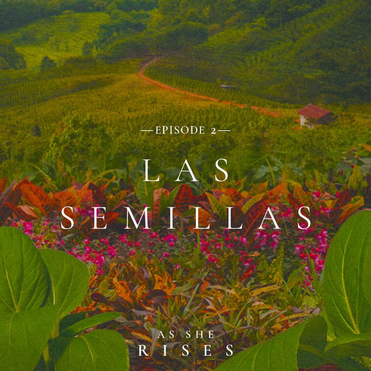 cover art for Las Semillas