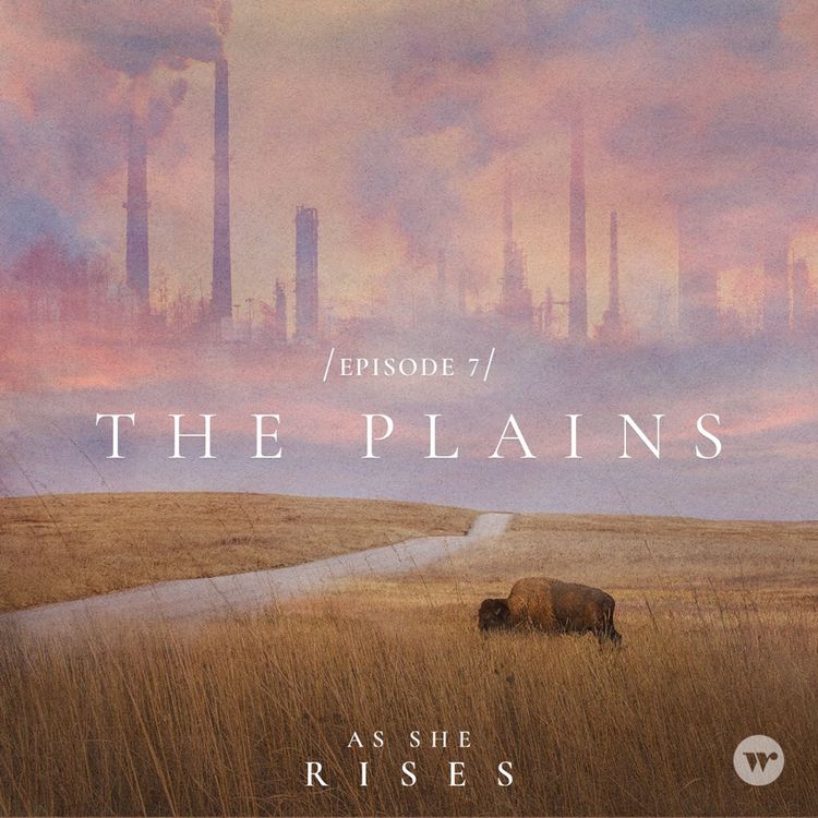 cover art for The Plains