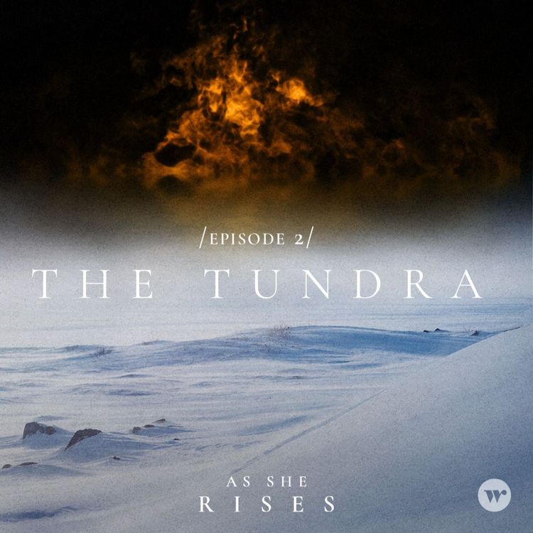 cover art for The Tundra