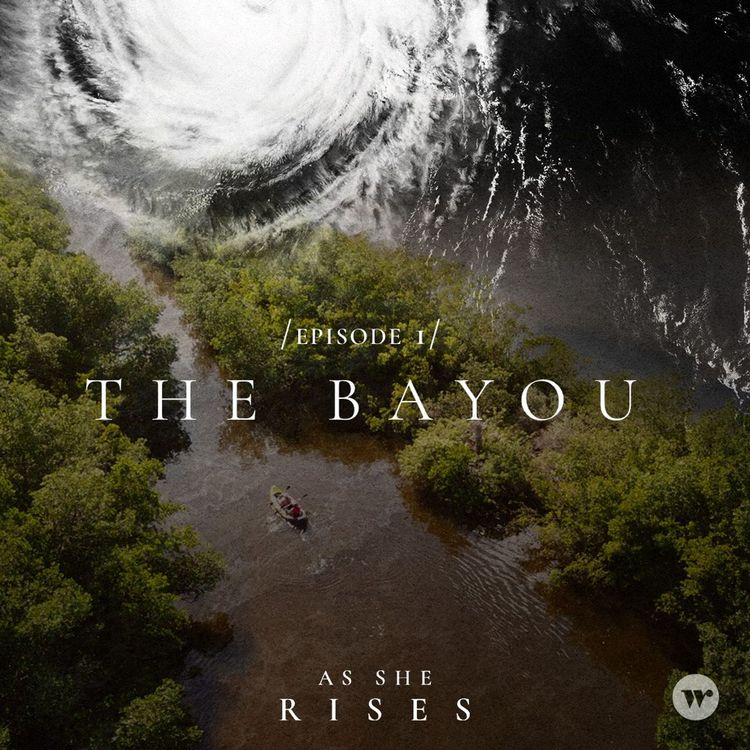 cover art for The Bayou