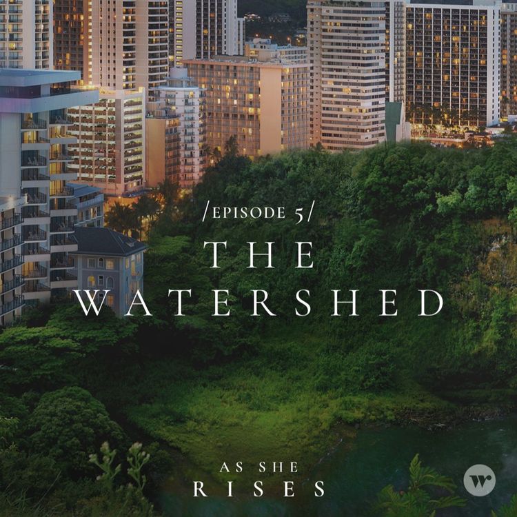 cover art for The Watershed