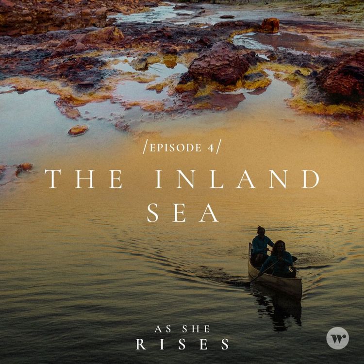 cover art for The Inland Sea