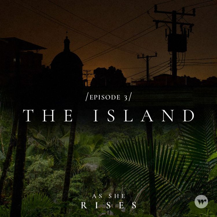 cover art for The Island