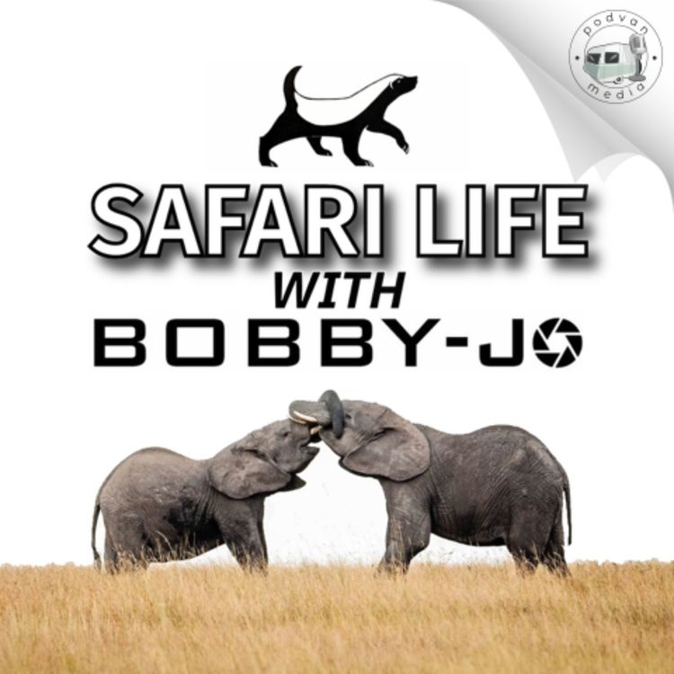 cover art for Safari Life Trailer