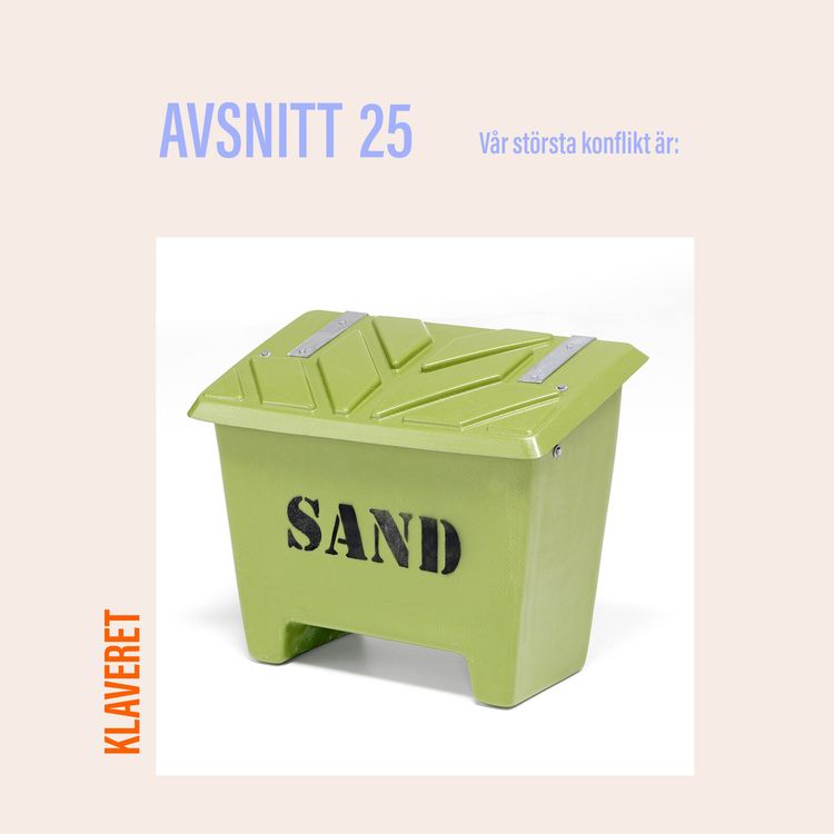 cover art for 25. Vår största konflikt är:
