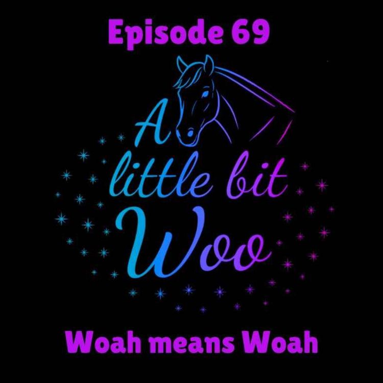 cover art for Woah means woah