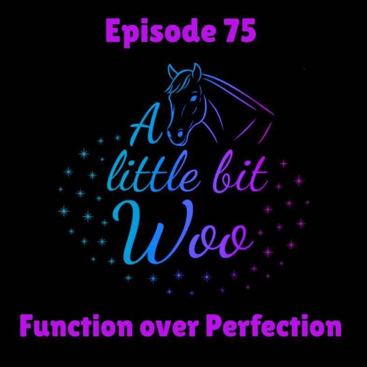 cover art for Function over perfection