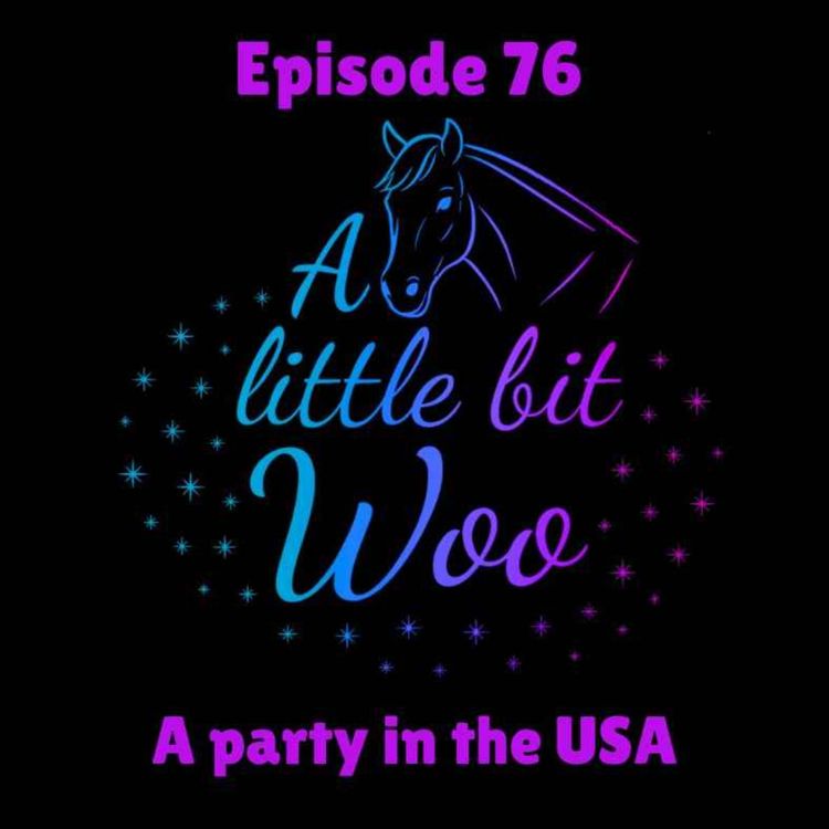 cover art for A party in the USA