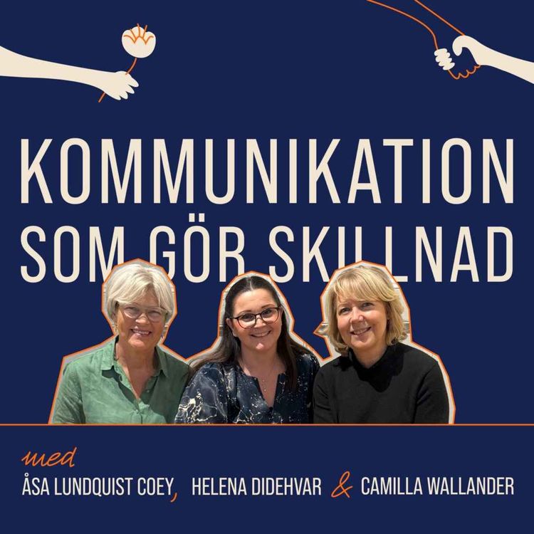 cover art for Konsten att kommunicera i kaos