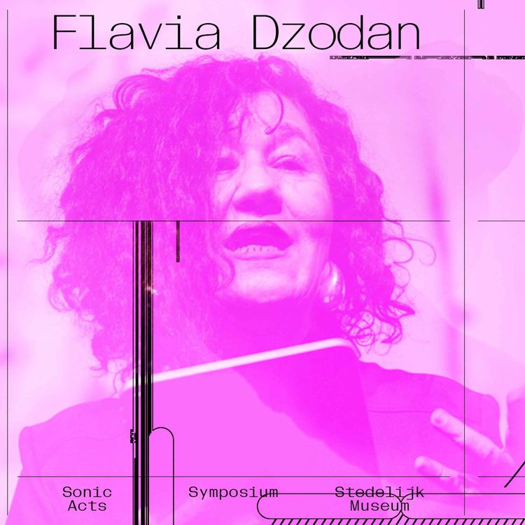 cover art for Flavia Dzodan, 'Affective Logistics'