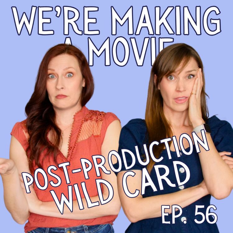 cover art for We're Making A Movie: Post-Production Wild Card