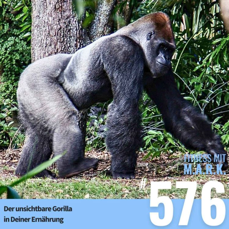 cover art for Der unsichtbare Gorilla in Deiner Ernährung (#576)