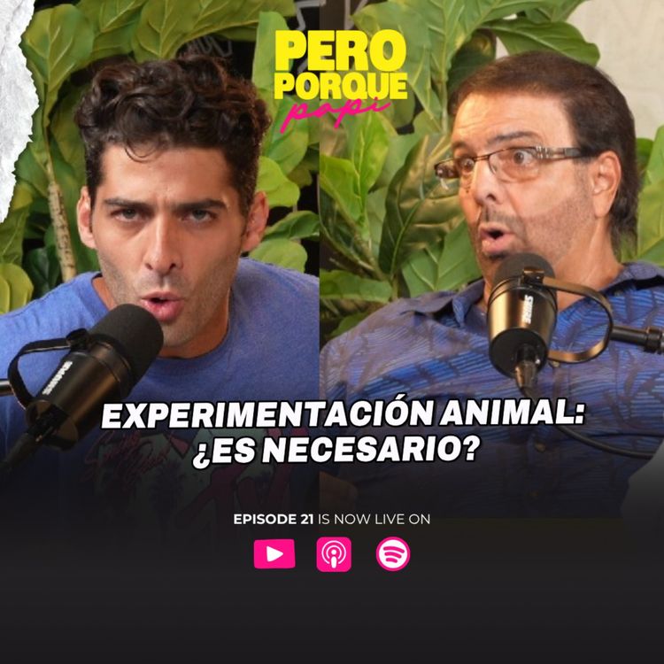 cover art for ¿Por Qué Siguen Usando Animales en Pruebas? + Crisis Económica en el Matrimonio 