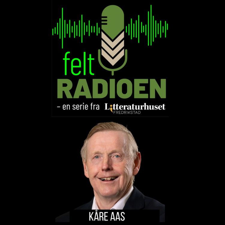 cover art for Feltradioen: Diplomati og stormaktskamp