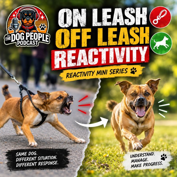 cover art for On leash, Off leash Reactivity 