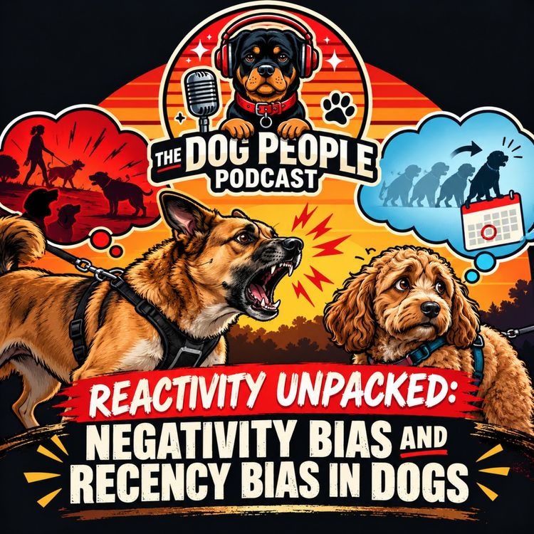 cover art for Reactivity Unpacked: Negativity Bias and Recency Bias in Dogs