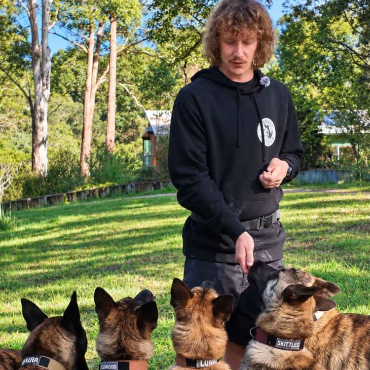 cover art for No Dog Is a Lost Cause: Ryan Keys and 16 Dutch Shepherds