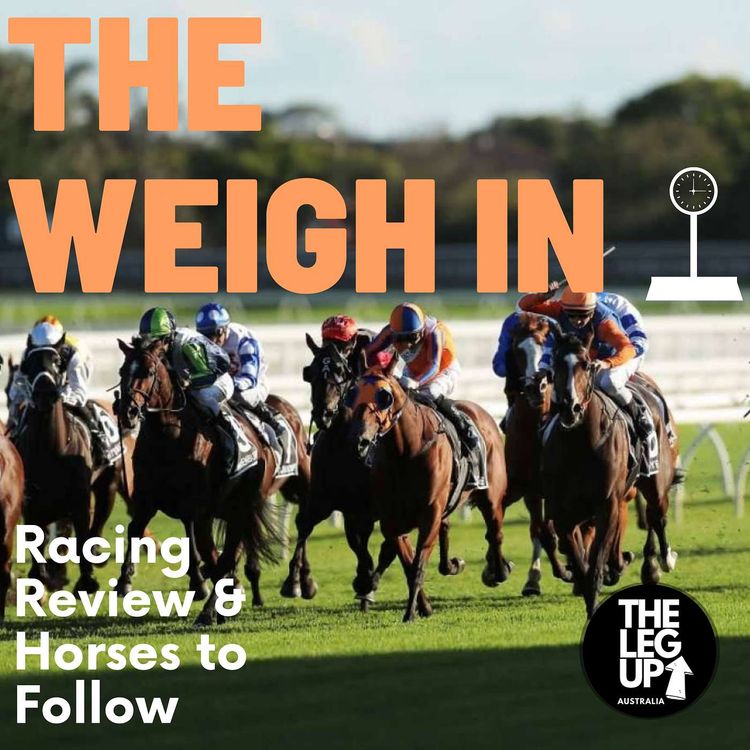 cover art for THE WEIGH IN: Randwick and the sensational Jamie Kah 🔥
